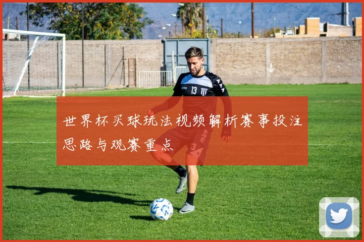 世界杯买球玩法视频解析赛事投注思路与观赛重点