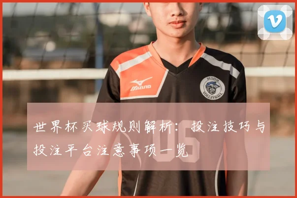 世界杯买球规则解析:投注技巧与投注平台注意事项一览
