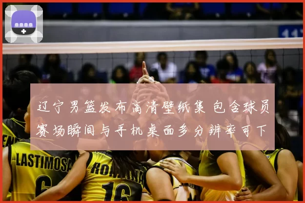辽宁男篮发布高清壁纸集 包含球员赛场瞬间与手机桌面多分辨率可下载