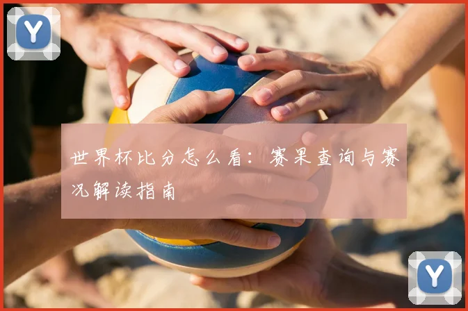 世界杯比分怎么看:赛果查询与赛况解读指南