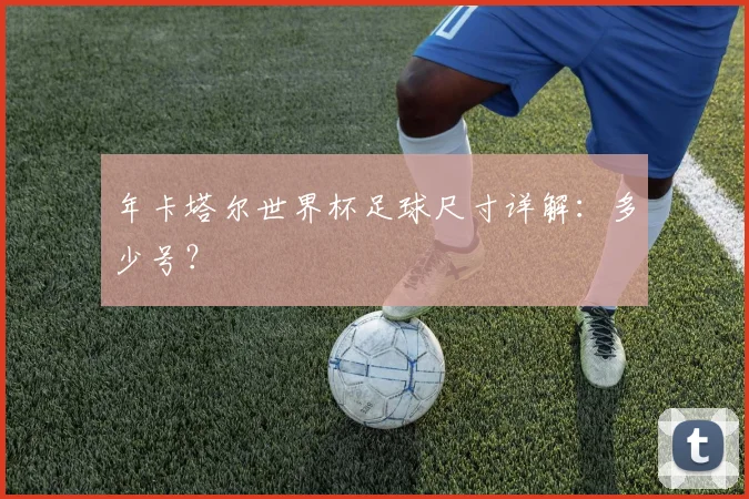 年卡塔尔世界杯足球尺寸详解:多少号?