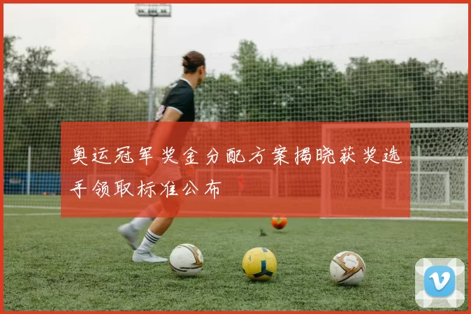 奥运冠军奖金分配方案揭晓获奖选手领取标准公布