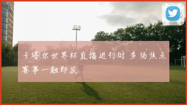 卡塔尔世界杯直播进行时 多场焦点赛事一触即发