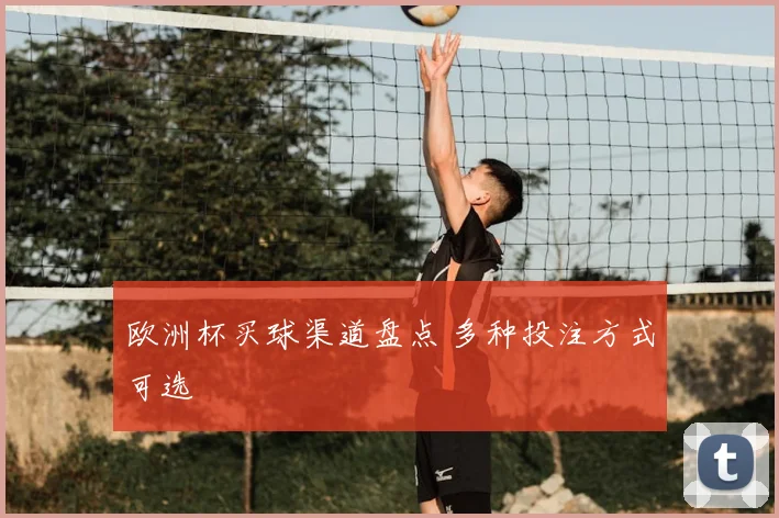 欧洲杯买球渠道盘点 多种投注方式可选